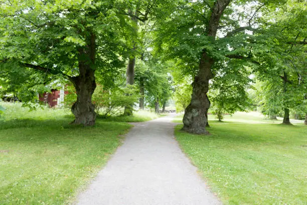 Beautiful greenspace in Helsinki, capital of Finland.