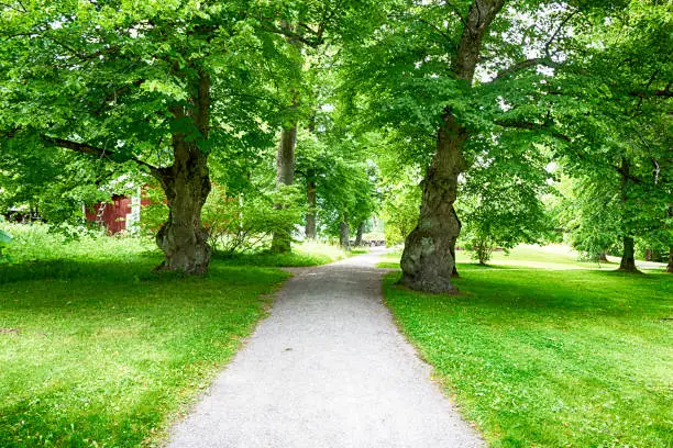 Beautiful greenspace in Helsinki, capital of Finland.