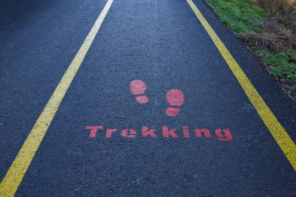 istock Trekking written on the road 905242856