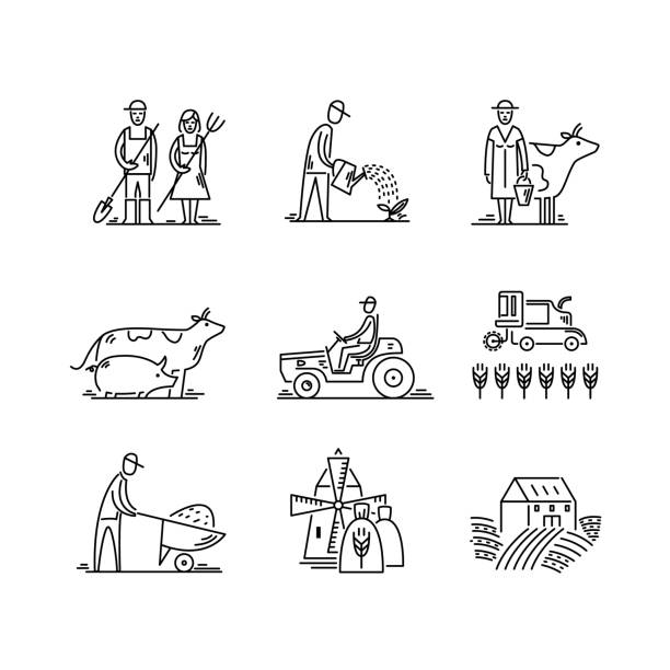 illustrations, cliparts, dessins animés et icônes de icônes de ligne agriculture et symboles de l’agriculture agronomie, personnes, animaux, champ de ferme, agroéquipements, transport de tracteur - agriculture field tractor landscape