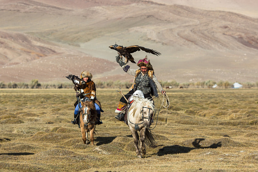 SAGSAY, MONGOLIA - SEP 28, 2017: Eagle Hunters traditional clothing, while hunting to the hare holding a golden eagles on his arms in desert mountain of Western Mongolia.