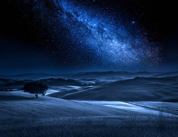 istock Tree on field in summer at night with milky way 905252548