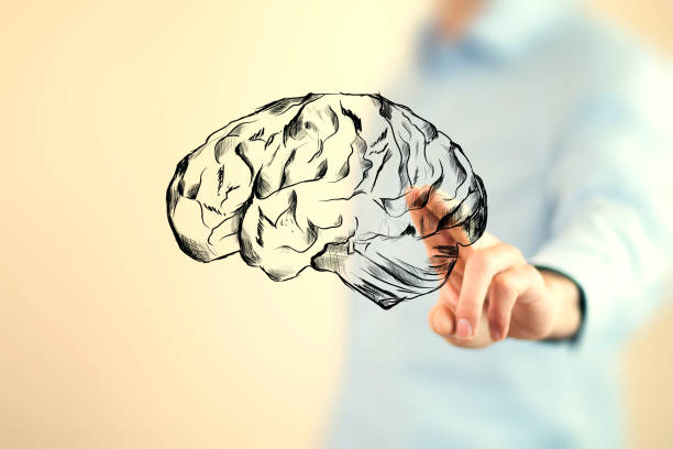 istock businessman hand holding brain in palm 905256402