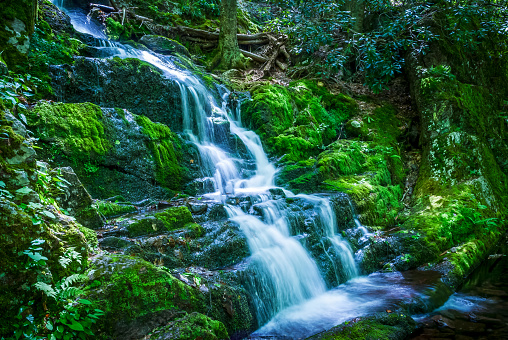 Beautiful Buttermilk Falls ib scenic Stokes State Forest in Northern New Jersey.