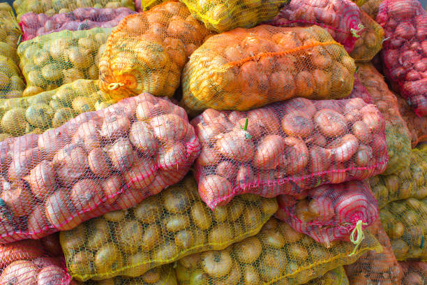 onions in yellow and pink plastic mesh sacks - onion bag netting vegetable imagens e fotografias de stock