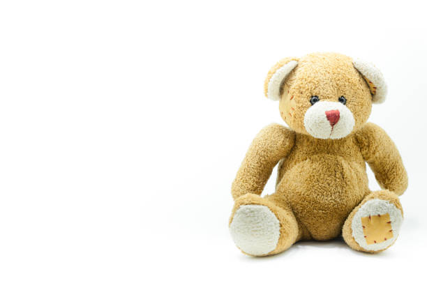 istock Brown Teddy Bear toy sitting on White 905268632
