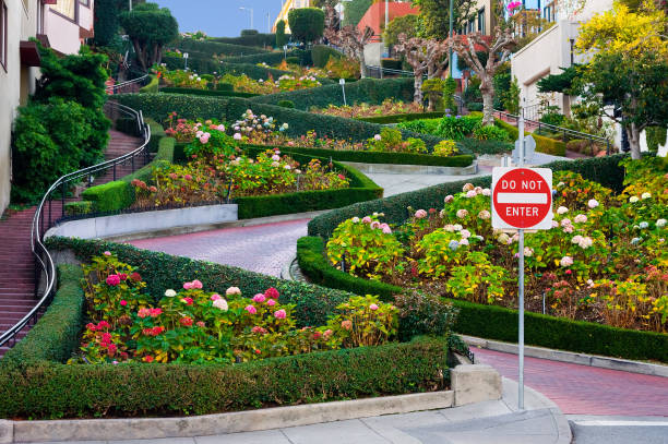 サンフランシスコロンバード通り - san francisco county lombard street street house ストックフォトと画像