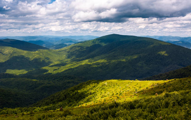 istock grassy slopes of Carpathian mountains 905274622