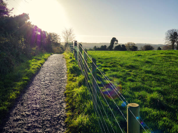 istock Scenic View Of Field Against Clear Sky 905278524