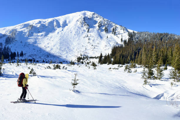 istock Alpine touring skier in winter mountain 905278536