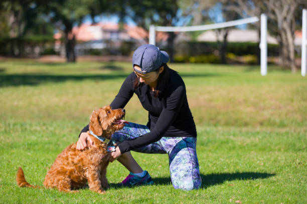 istock young woman exercising with her pet 905279466