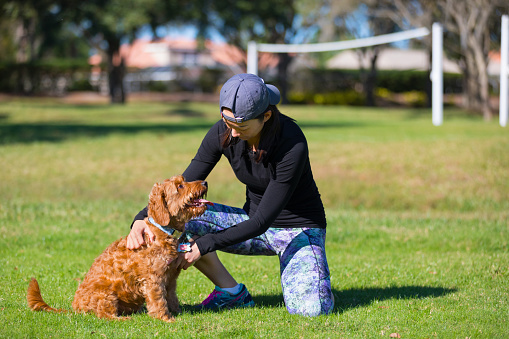 Young asian woman restingafter exercising in the park with her Minature golden doodle