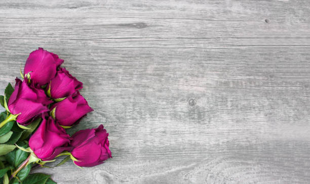 istock Colorful Pink Roses in Corner Over Light Wood Background 905279542