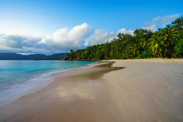 istock beautiful paradise beach, anse soleil, seychelles 905279962