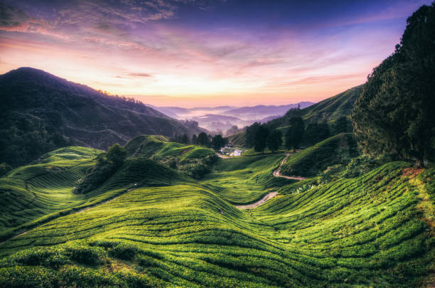 istock Scenic View Of Landscape Against Sky During Sunset 905285902