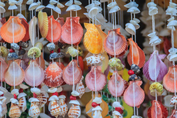 istock Vintage mobile made from variety seashells for background, Beautiful seashell mobile hanging in the shop for sale. Handicrafts produced by the shell wall, souvenirs from the seaside. 905292352
