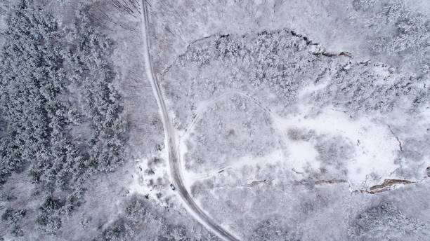 istock Snowy Mountain Forest  With Roads 905299596