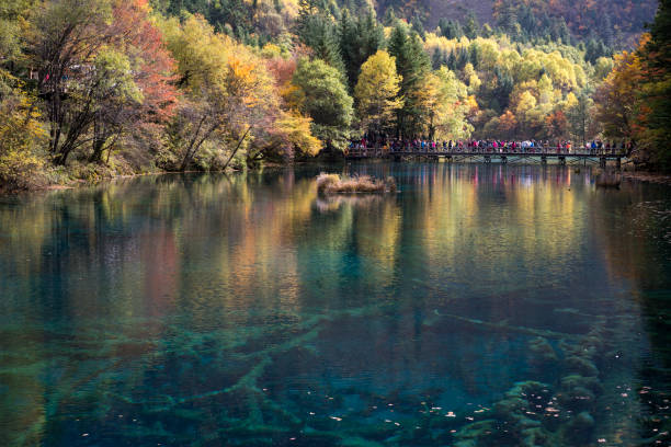 istock Jiuzhaigou Valley in Autumn 905300886