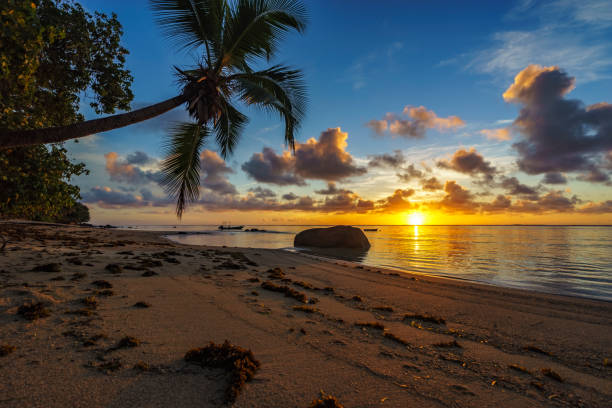 istock beautiful sunrise on paradise beach, seychelles 3 905301342