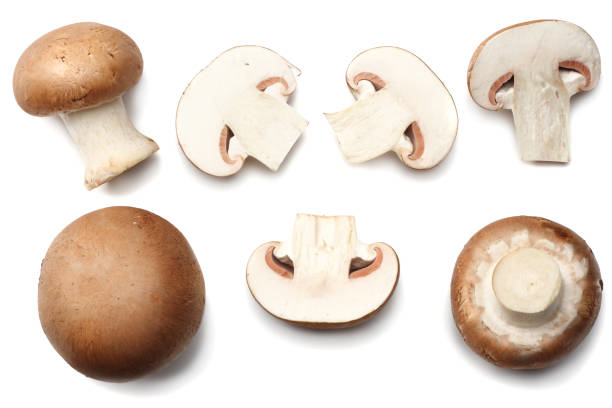 istock Fresh champignon mushrooms isolated on white background. top view 905303864