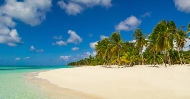 istock Dominican Republic Dream Beach 905304040
