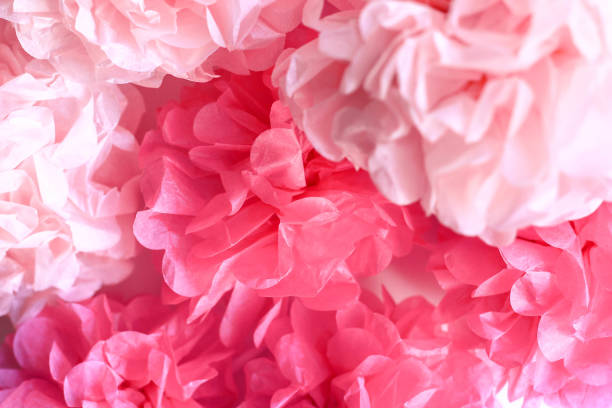 sfondo pom poms di carta velina rosa - poppy pink close up cut flowers foto e immagini stock