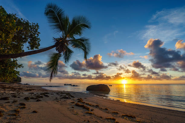 istock beautiful sunrise on paradise beach, seychelles 4 905304508
