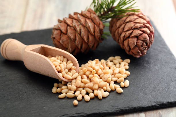29,800+ Pinenuts Stock Photos, Pictures & Royalty-Free Images