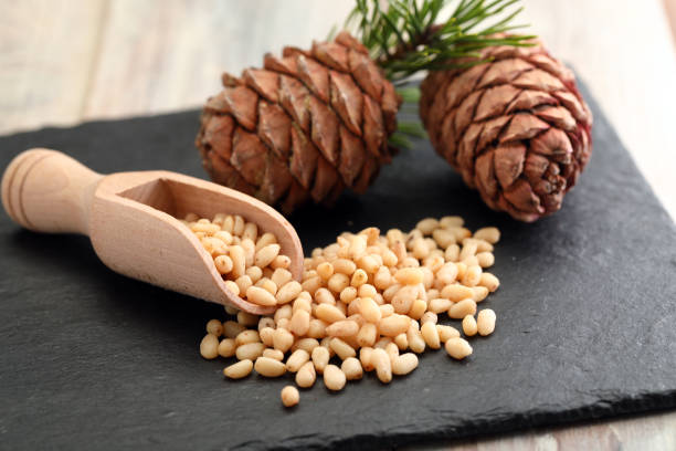 Pine nuts and pine cones stock photo