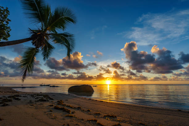 istock beautiful sunrise on paradise beach, seychelles 5 905307754