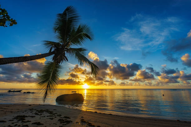 istock beautiful sunrise on paradise beach, seychelles 6 905311256