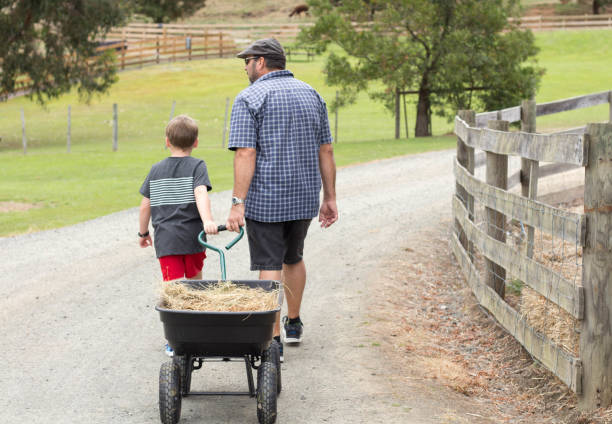 istock Boys with Grandfather feeding farm animals 905311776