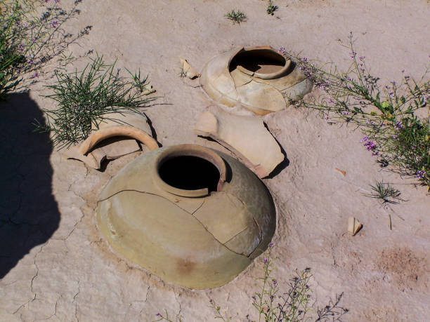 Two broken storage jars half buried in the ruins of the bronze age city of Gonur Tepe (or Gonur Depe) in the desert north of Mary, in modern Turkmenistan.