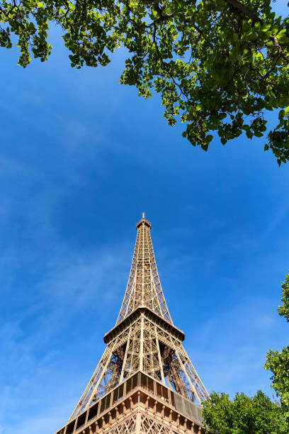 istock Gorgeous view of Eiffel Tower with dramatic sky 905315314