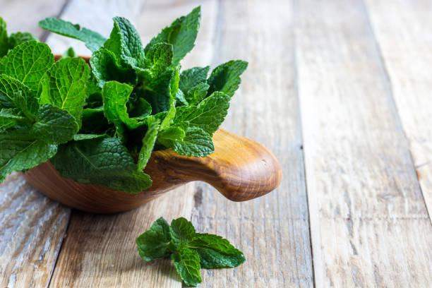 istock Bunch of Fresh green organic mint leaf 905318116