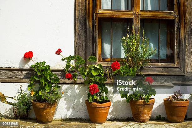 Fiorente Flowerbox A Finestra - Fotografie stock e altre immagini di Architettura - Architettura, Bocciolo, Bulgaria