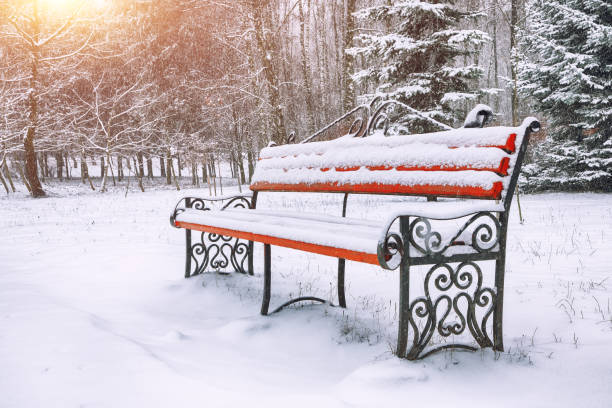 istock Park bench and trees covered by heavy snow 905329376