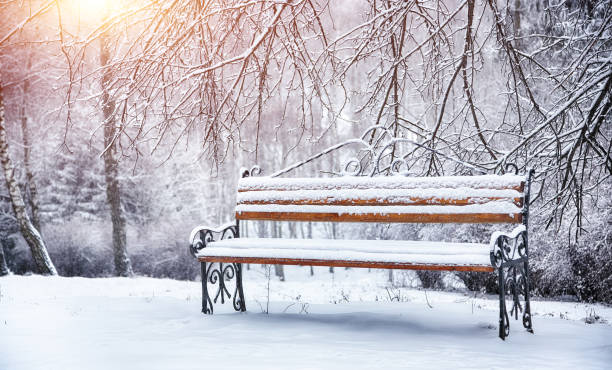 istock Park bench and trees covered by heavy snow 905329604