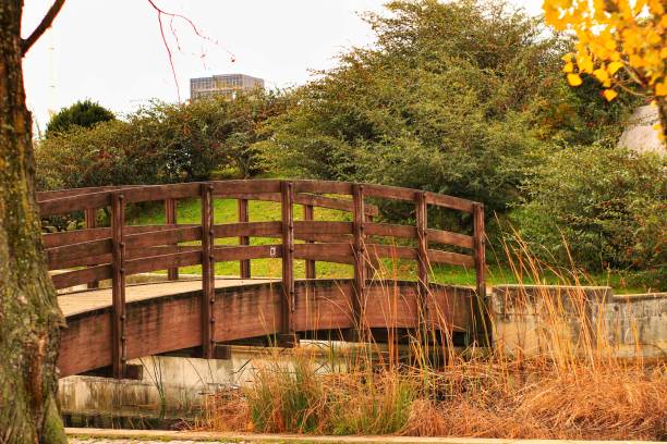 istock Wooden bridge in the garden 905333400