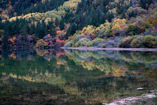 istock Jiuzhaigou Valley in Autumn 905336874