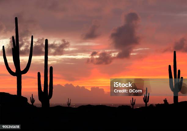 Sunset In Southwest Desert Stock Photo - Download Image Now - Mexico, Landscape - Scenery, Desert Area