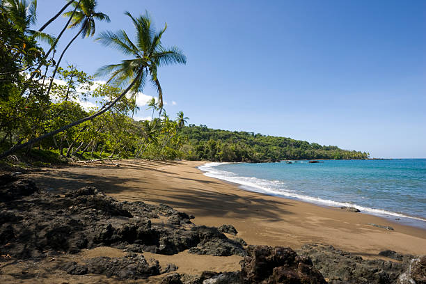 istock Palm tree over Costa Rica Beach 90534932