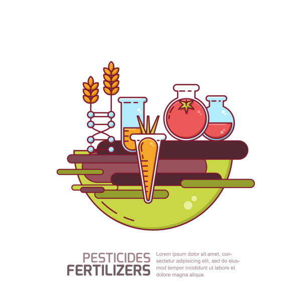 ilustraciones, imágenes clip art, dibujos animados e iconos de stock de plaguicidas, concepto de fertilizantes. ilustración de vector de hortalizas y granos con productos químicos. tecnologías de la agricultura. - genetic modification dna tomato genetic research