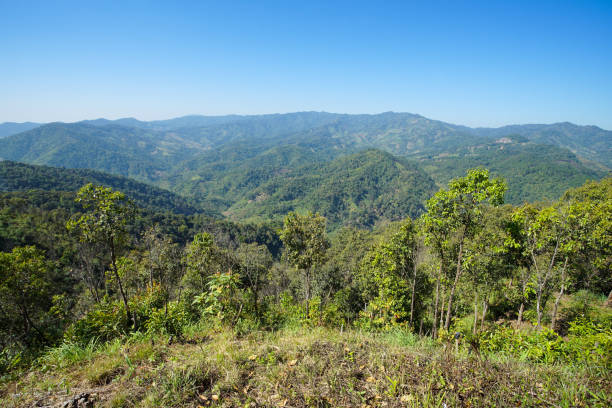 istock Nature view mountain, forest and blue sky 905358134
