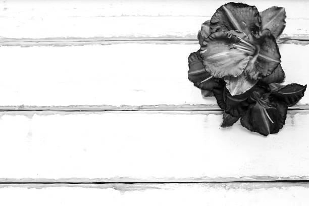 istock Flowers on a wooden table 905358220