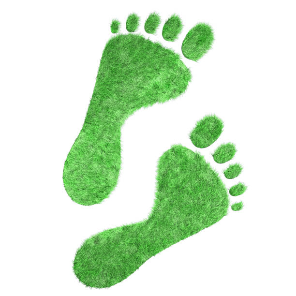 istock Bare feet trace of green grass 905360974