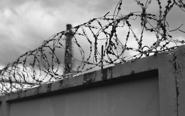 istock Concrete wall with barbed wire on fence 905361822