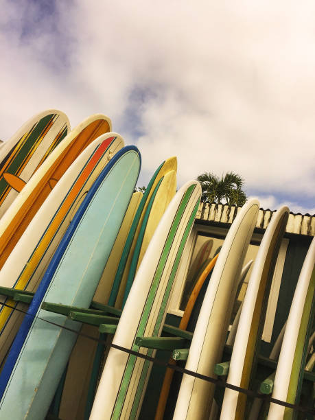 istock Colourful surf boards lined up on Hawaiian beach 905365334