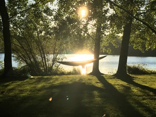 istock Summer Hammock at the Lake 905368276
