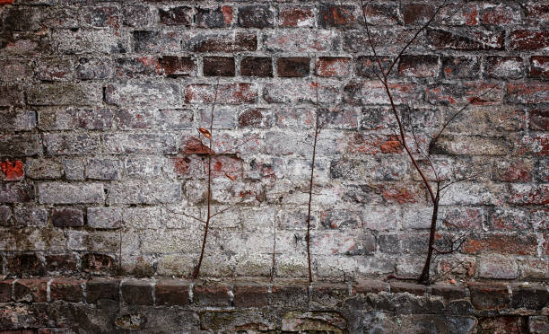 istock The texture is metallic. Industrial background from an old rusty 905368328